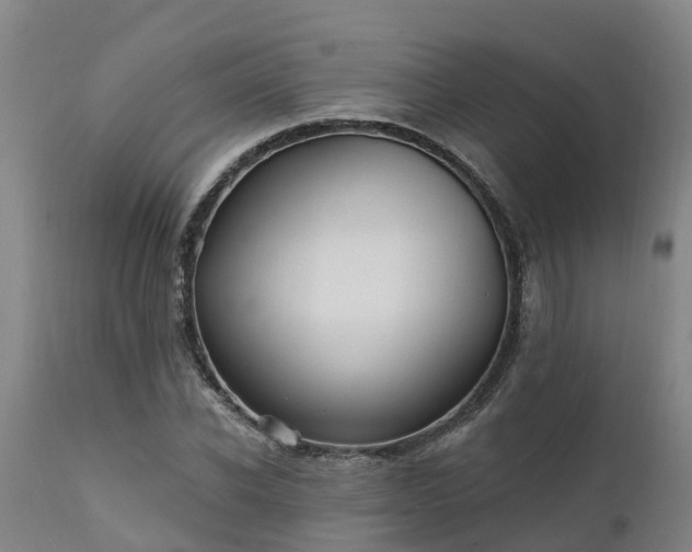 X0000111460926200907201110