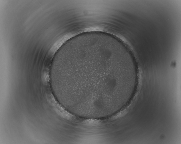 X0000111460929200907201110