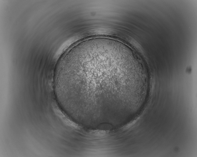 X0000111460930200907201110