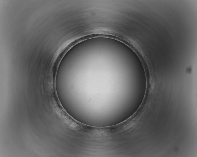 X0000111460931200907201110