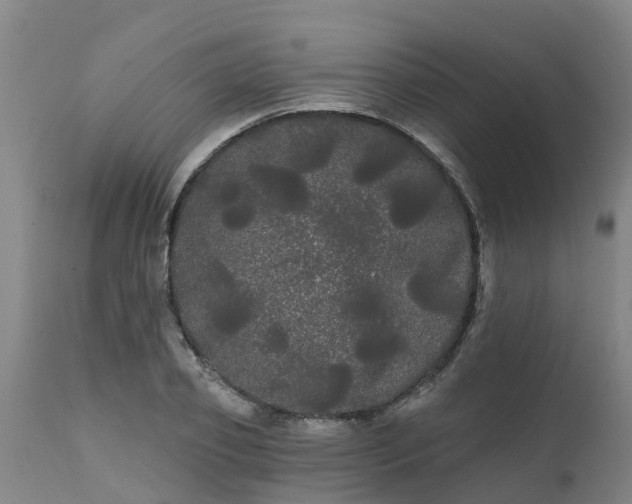 X0000111460933200907201110