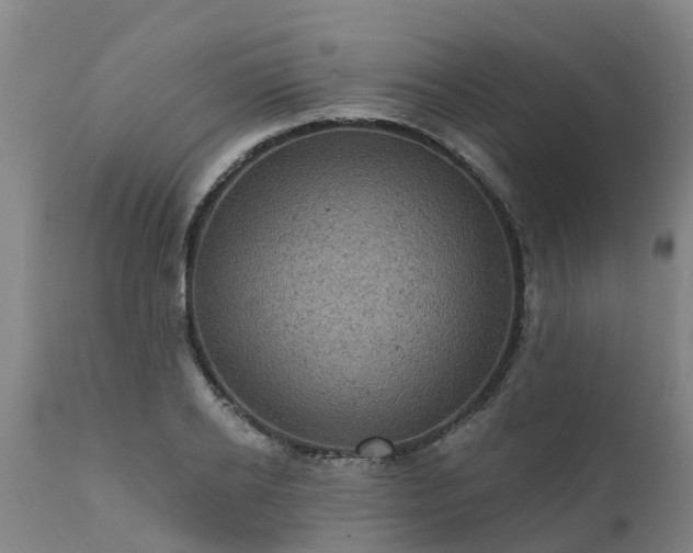 X0000111460934200907201110