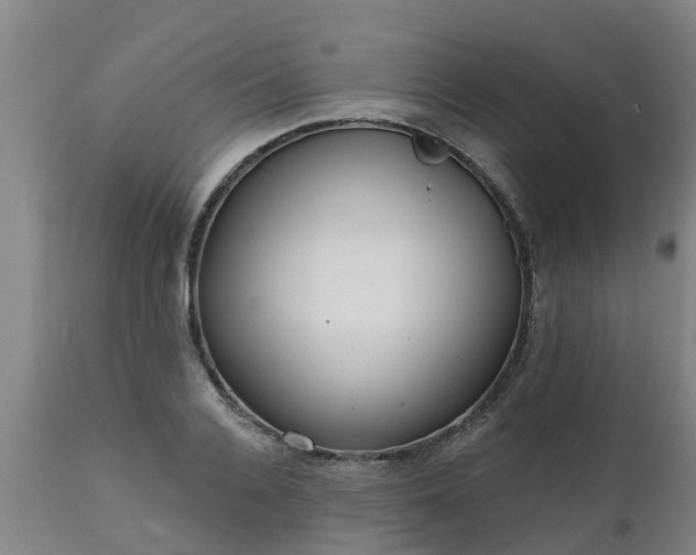 X0000111460936200907201110