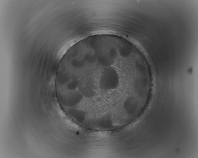 X0000111460937200907201110