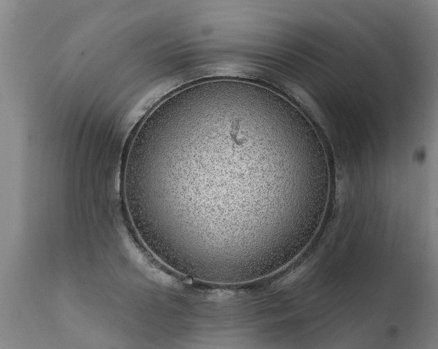 X0000111460938200907201110