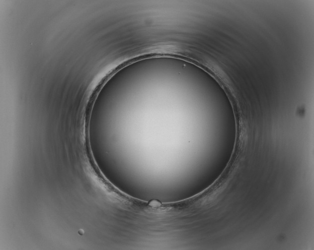 X0000111460939200907201110