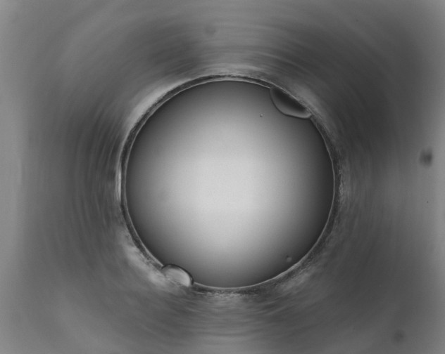 X0000111460940200907201110