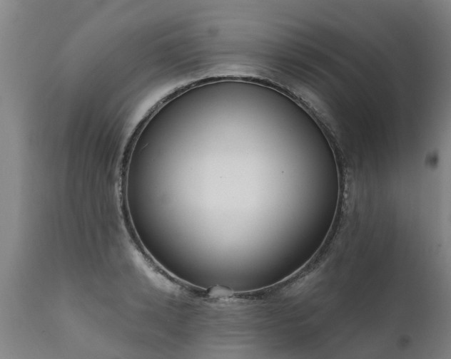 X0000111460942200907201110