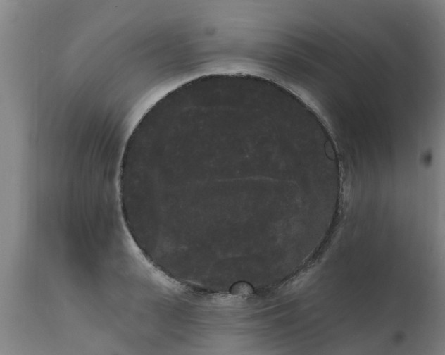 X0000111460943200907201110