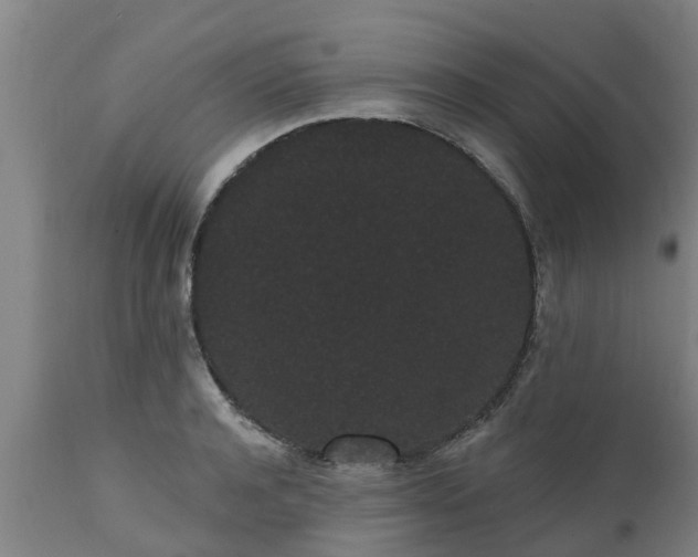 X0000111460944200907201110