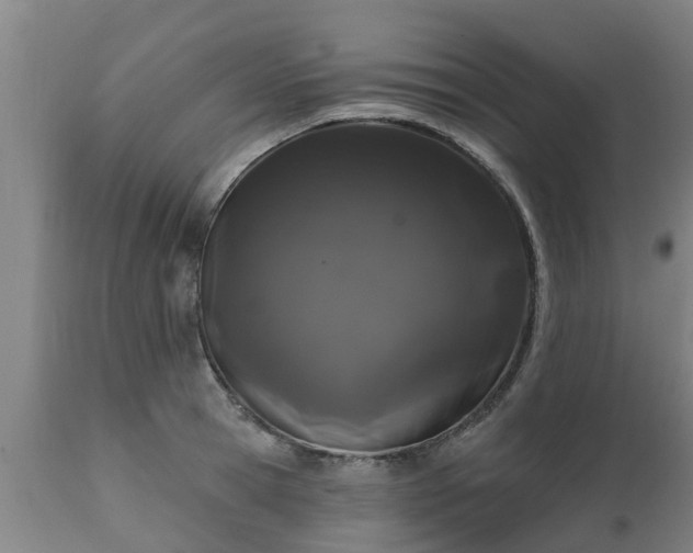 X0000111460945200907201110