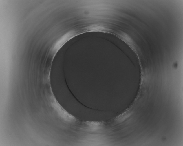 X0000111460946200907201110