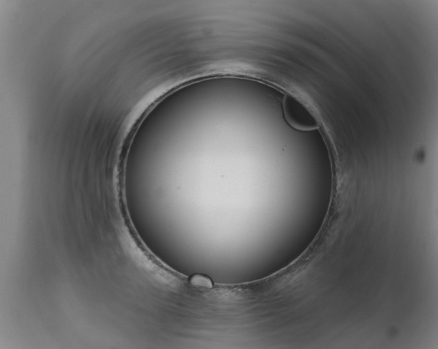 X0000111460947200907201110