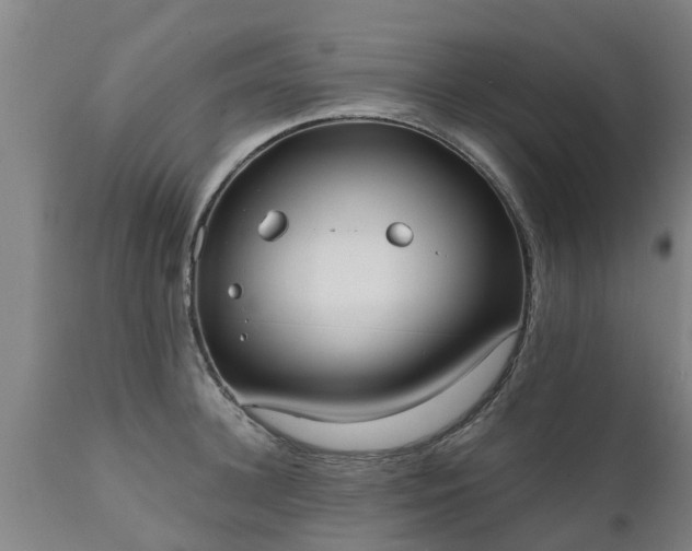 X0000111460948200907201110