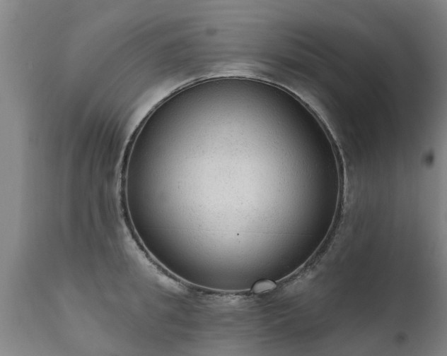 X0000111460949200907201110