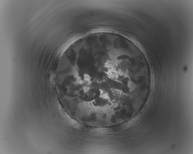 X0000111460953200907201110