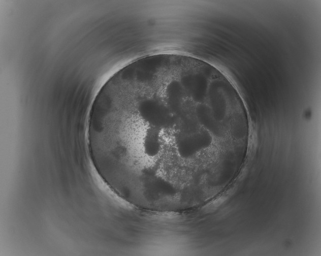 X0000111460957200907201110