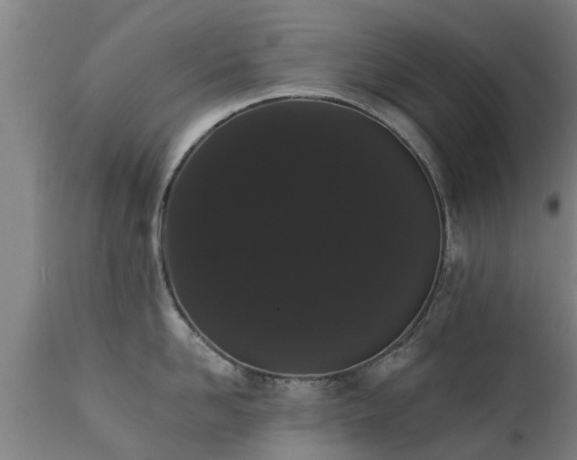 X0000111460958200907201110