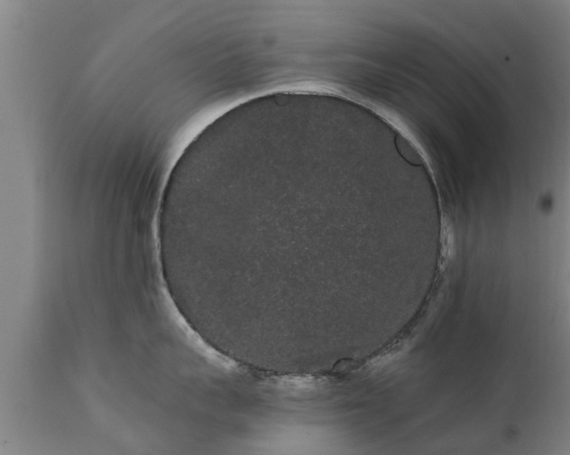 X0000111460959200907201110