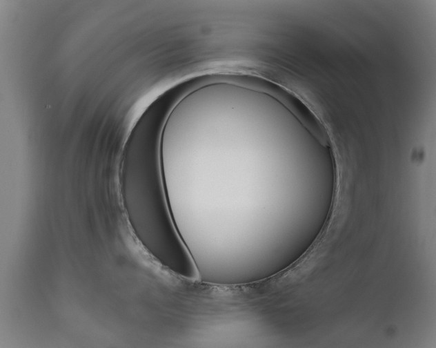 X0000111460960200907201110