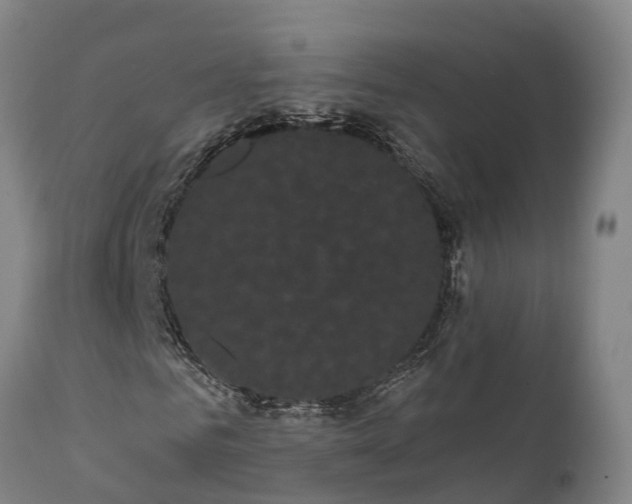 X0000111460961200907201109