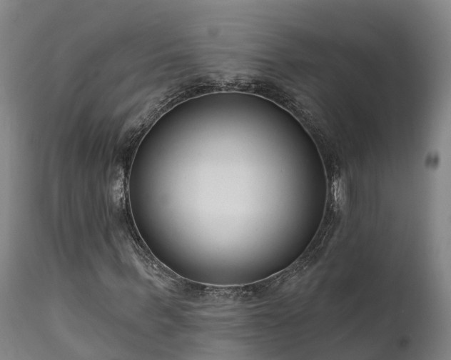 X0000111460963200907201109