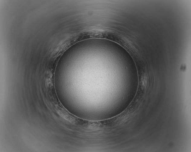 X0000111460964200907201109