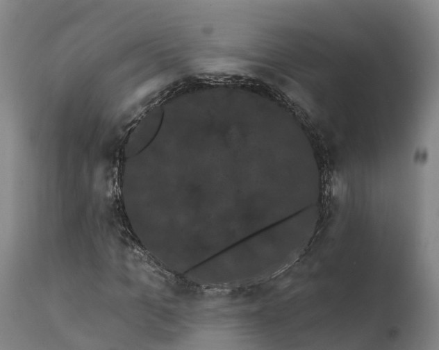 X0000111460965200907201109