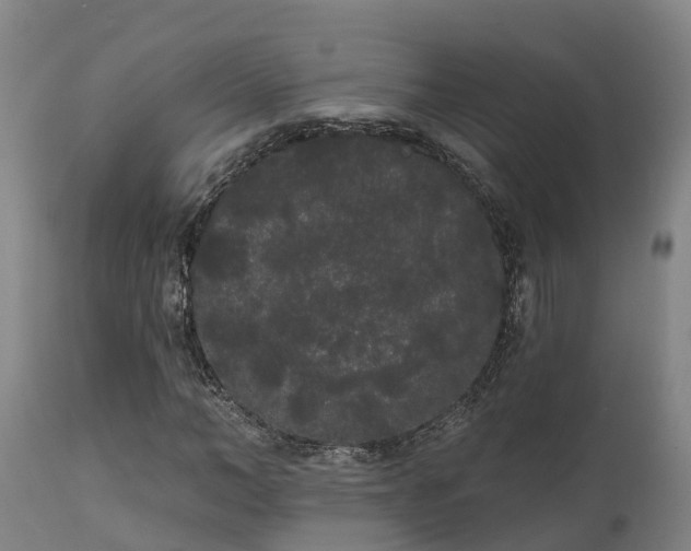 X0000111460966200907201109