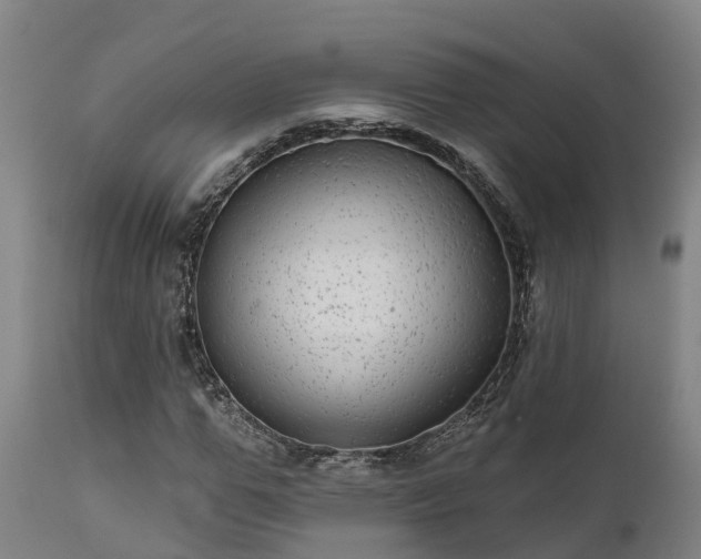 X0000111460967200907201109