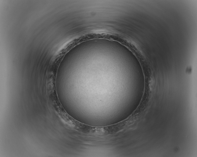 X0000111460968200907201109