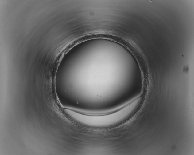 X0000111460969200907201109