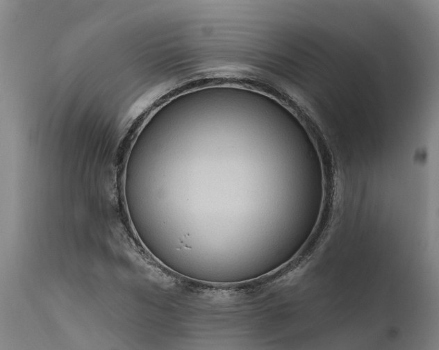 X0000111460970200907201109