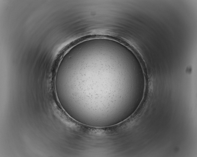 X0000111460971200907201109