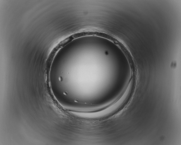 X0000111460973200907201109