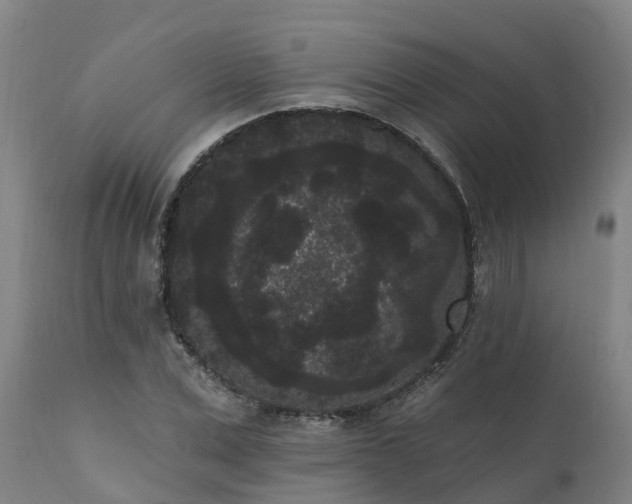 X0000111460975200907201109