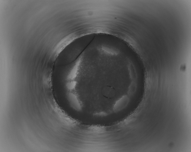 X0000111460977200907201109