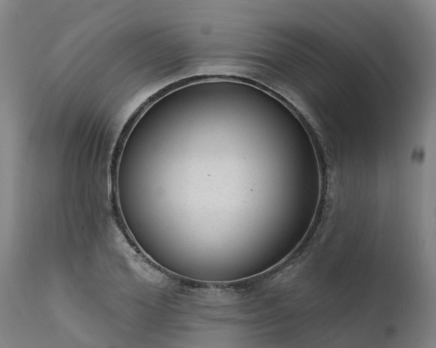 X0000111460980200907201109