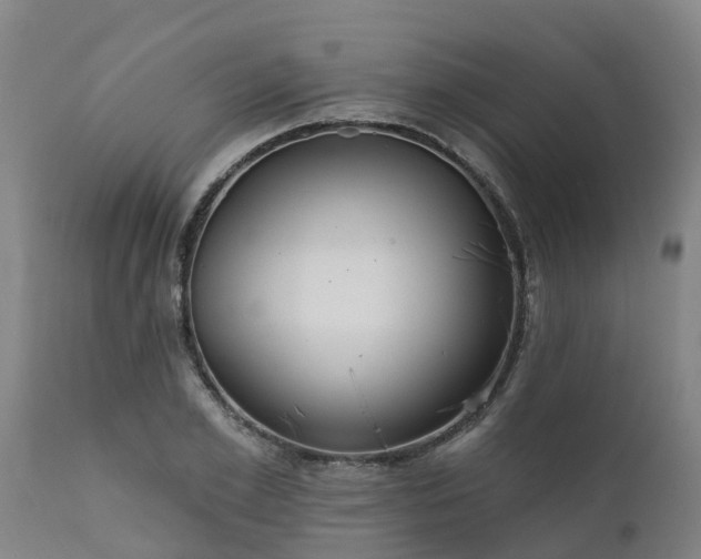 X0000111460981200907201109