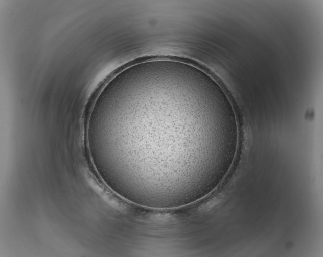 X0000111460982200907201109