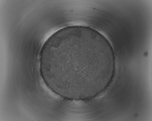 X0000111460983200907201109