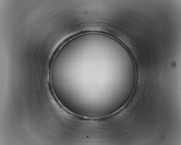 X0000111460984200907201109