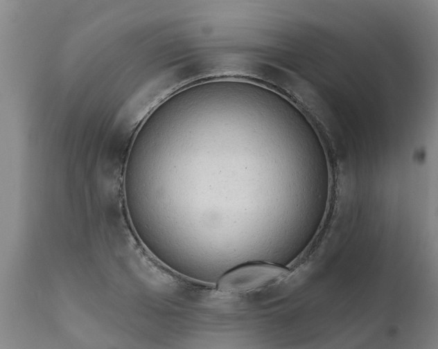 X0000111460985200907201109