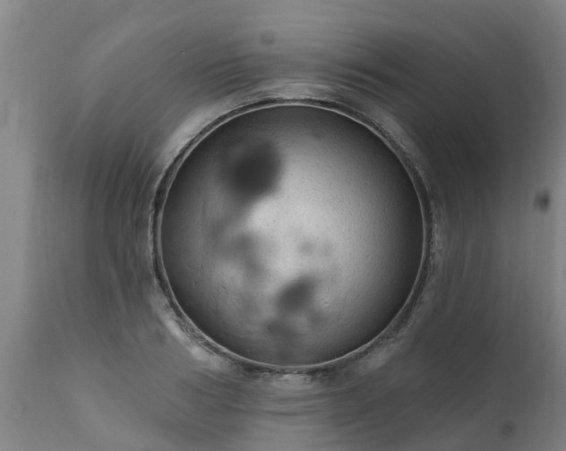 X0000111460986200907201109