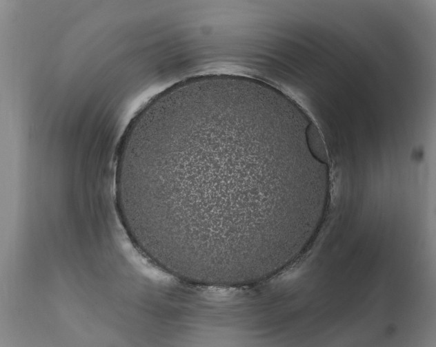 X0000111460987200907201109