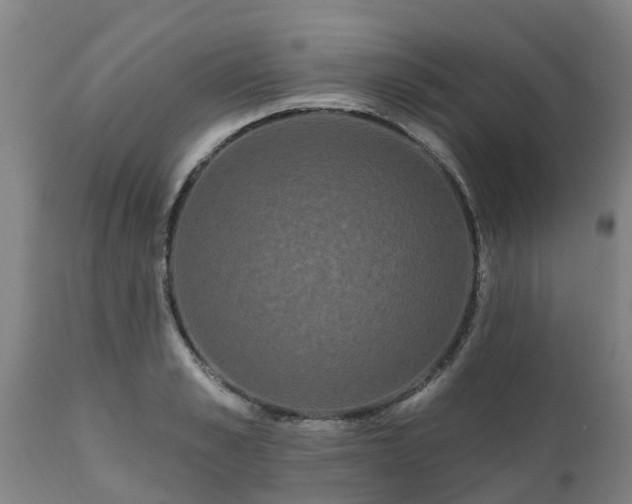 X0000111460989200907201109