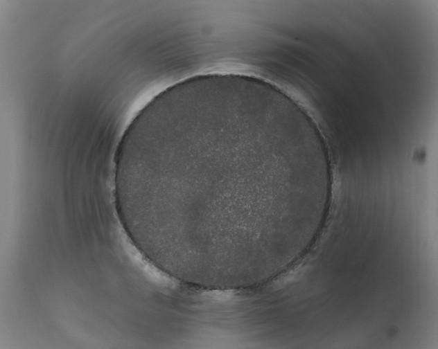 X0000111460990200907201109