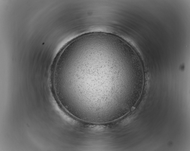 X0000111460991200907201109