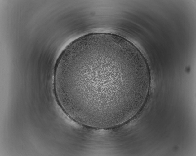 X0000111460992200907201109