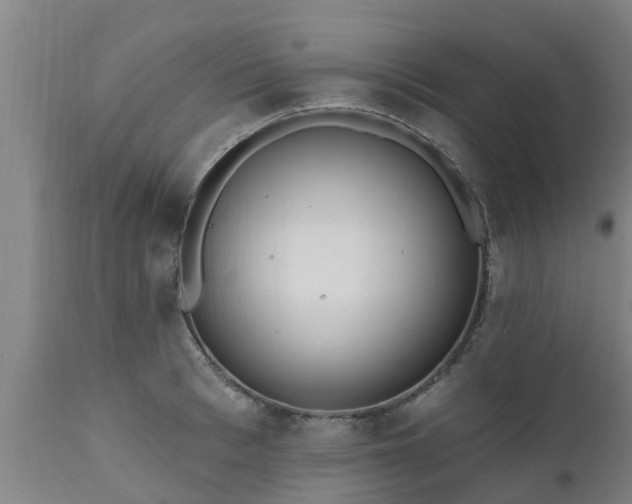 X0000111460993200907201109